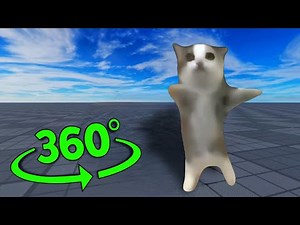 Happy Happy Cat But It's 360 Degree Video