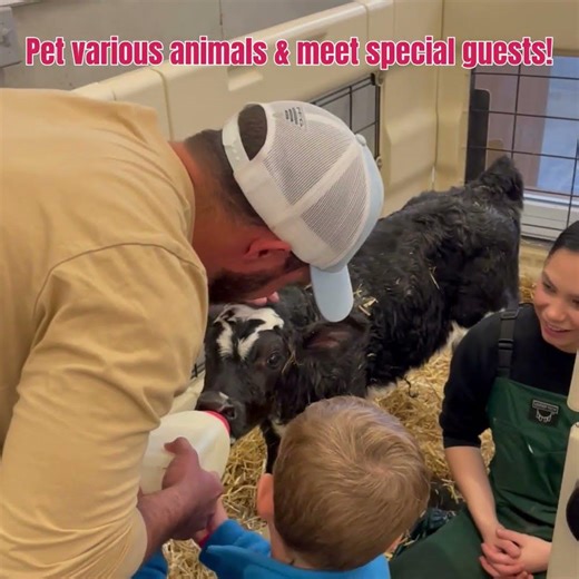 Meet Baby Farm Animals at Farm Wisconsin