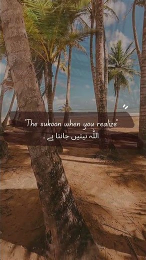 #allahuakbar #all #songlyrics #islamicknowledge #viral