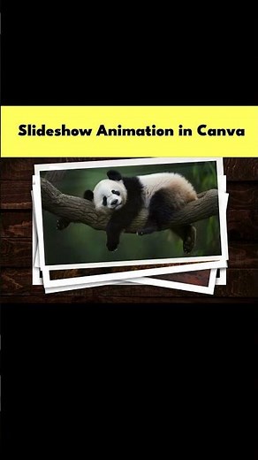 Amazing Slideshow Animation in Canva