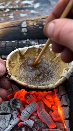 How to Make Primitive Pine Resin Epoxy for Wilderness Survival