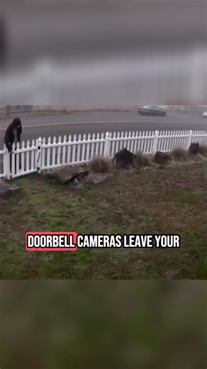 My neighbours house got robbed last week, and my camera caught everything... | Remi