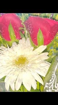 "How to Make a Stunning Rose Bouquet | Easy DIY Floral Arrangement"