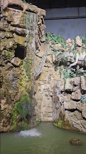 Jurassic Jungle Boat Ride BEST Attraction in Pigeon Forge!! #vacation #tourism