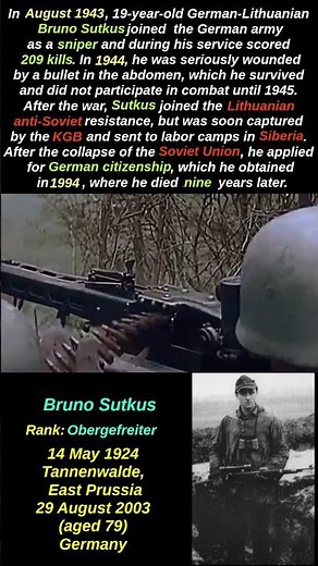 Surviving Against All Odds: The Sniper Who Outlasted WWII #history #ww2 #shorts