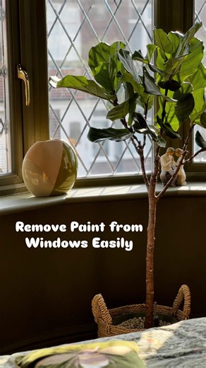 Naila Qasmi | DIY & Biophilic Interiors on Instagram: "REMOVING PAINT FROM GLASS I never bother taping when painting windows… I’m far too impatient to get to the fun part 😆 But this method has never failed me. No damaged seals, no messy paint lines and no endless faff - just smooth, satisfying paint removal every time 👌🏼 If you’ve ever struggled to get dried paint off glass (or mirrors), this is the step-by-step technique that keeps everything looking sharp without scratching a thing👇🏼 1 - 