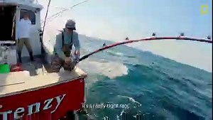 2.8K views · 29 reactions | It all  comes down  to this  . The 90-minute season finale of #WickedTuna: Outer Banks airs tonight at 9/8c on National Geographic. | National Geographic TV | Facebook