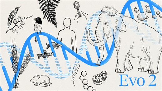 DNA基础模型：Evo 2