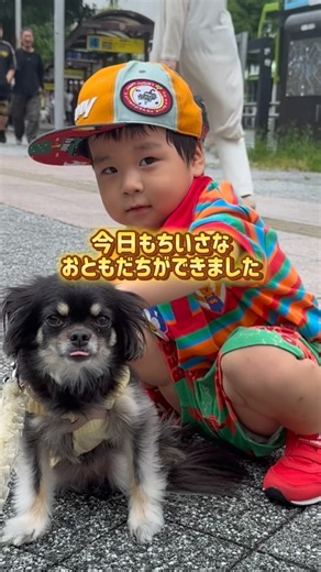 ちまきのおともだちが増えたよ🐶 #チワワ #犬のいる生活