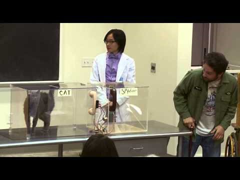 It's Always Sunny in Philadelphia - Flowers for Charlie - The Placebo Effect