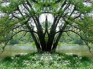 Brian Eno - This - Time Lapse - Four Seasons