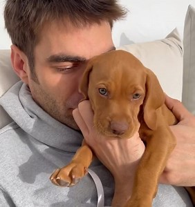 11K views · 158 reactions | Un peu de douceur dans votre week-end avec la vidéo du top Jon Kortajarena et un adorable chiot ! On ne sait pas lequel des deux nous fait le plus craquer... ©Instagram Jon Kortajarena | Vogue France | Facebook