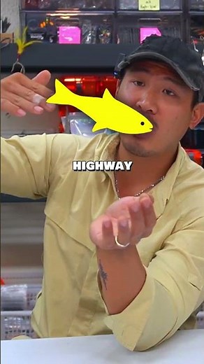 The ONE thing I look for every time I go fishing #fishing