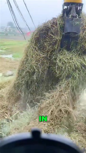 1.9K views · 293 reactions | Have you ever seen a machine precisely operate as human hand on farm | Lee Yumi | Facebook