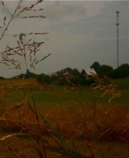 Explore Digital Cameras for Enthusiasts