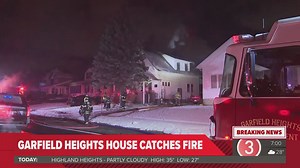 Inside the grim scene of a Korean dog meat farm, just miles from the Winter Olympics