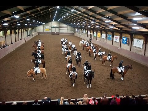 Carrousel kür 32 paarden en pony's bij Manege Thielen