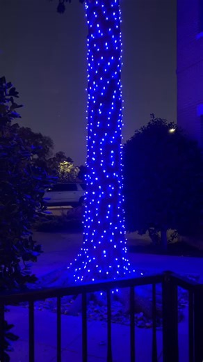 Be the light. At Cerulean Blue, we believe in loving people and transforming our community. One cup, one smile, one light at a time. 💙 Our tree is shining bright as a reminder of the joy we can bring when we care for those around us. Spot the blue glow? Post a photo of the tree, tag us, and show our team for a free cookie! 🍪 #CeruleanBlueCoffeeHouse #CatchtheWave #BetheLight #FlowerMound #Lewisville #DFWcoffeeshop #DFWbakery #DFWcafe | Cerulean Blue Coffee House