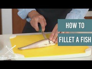 How To Fillet A Fish (Whiting) - Ep 1