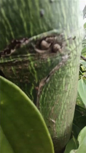 m.n cho mình xin 1like và một ₫ăng ký kênh ₫ể mình quay nhiều video về cuộc sống hàng ngày nhé 🩷