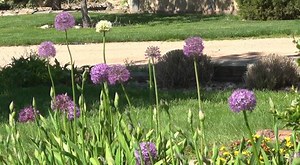 Black Hills Destinations: Explore the Botanical Gardens