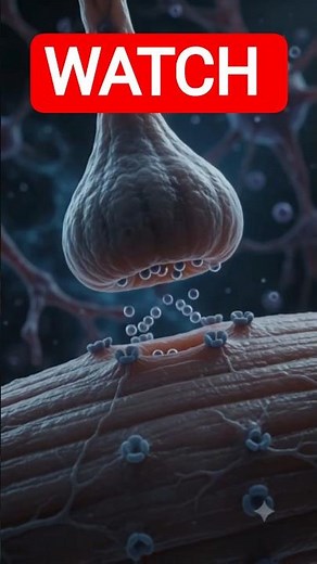 The Science of Muscle Cramps: 3D Animation Breakdown 🧠