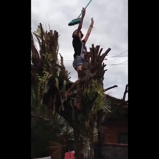 Dont Play with Wires ... 🥶😂🥵😅 | Electrical Technology