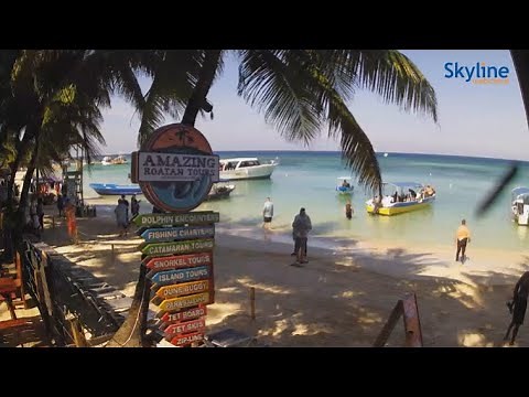 A few steps from the warm waters of the Honduran sea! Enjoy our cam from Roatan - SkylineWebcams