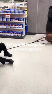 334K views · 14K reactions |  A bond that time and distance can't break! Watch this heartwarming reunion between a German Shepherd K9 and its first handler. From calm patrol mode to pure joy, this pup's reaction will melt your heart. ✨ This viral moment reminds us of the unshakable connection between K9s and their handlers. Grab some tissues and share the love! 凉❤️ #K9Love #UnbreakableBond #VestedInterestInK9s | Vested Interest in K9s, Inc. | Facebook