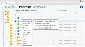 Egnyte + Microsoft Co-editing Integration