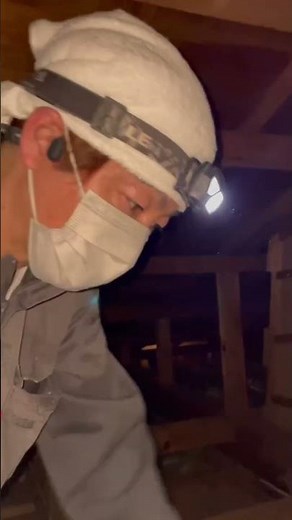 ネズミ、ハクビシン等が侵入した天井裏の被害#横浜の害虫駆除屋さん #ネズミ #ハクビシン #アライグマ #被害 #断熱材 #電気配線 #駆除 #捕獲 #閉塞 #天井裏 #物音