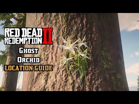 Ghost Orchid - Location Guide | Red Dead Redemption 2