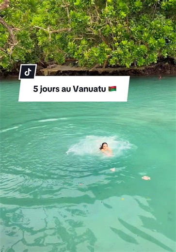 De retour de 5 jours incroyables au Vanuatu 🇻🇺 Entre paysages magnifiques, rencontres, activités, découvertes et bons moments en famille, on en a pris plein les yeux ! 😍 Les vlogs arrivent très bientôt, et on a hâte de vous faire découvrir tout ça avec nous 🫶🏽 Qui a déjà visité le Vanuatu ? 👀