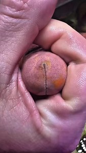 58K views · 87 reactions | Comment “BEST“ And get...