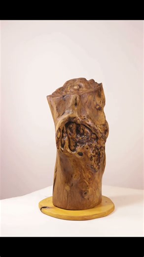 Unique Tree Trunk Wood lamp Natural vintage style Handcrafted - One Piece