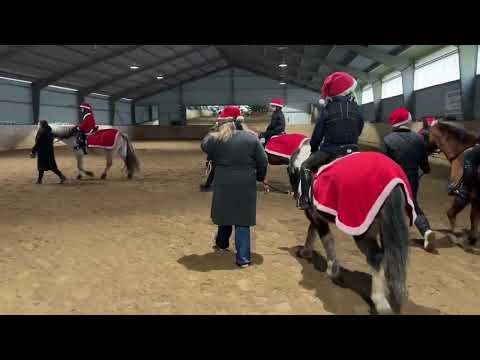 Årets juletur og juletræssang til hest