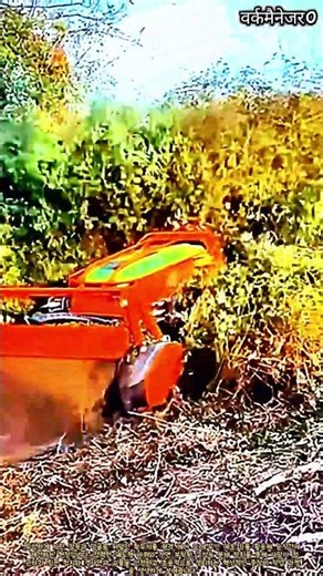 경사면 잡목도 문제없는 스마트 원격 제어 중장비 개간 작업 #worker #process #agriculture #technology #landclearing