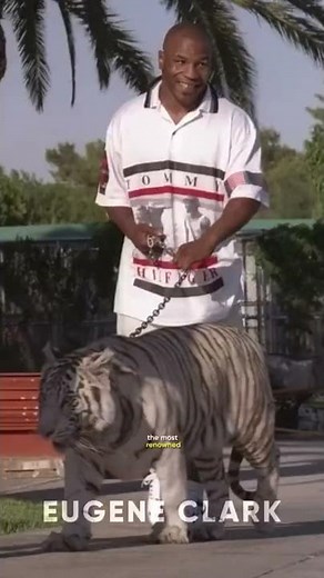 Did You Know That In The Hangover...