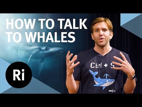 How to speak whale – with Tom Mustill and Michael Bronstein