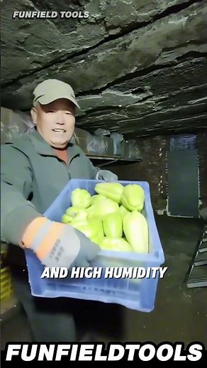 Their Pulley System 🧺 for the Root Cellar is Genius #Homesteading