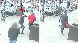 Bat Attack in New York City Appears Targeted