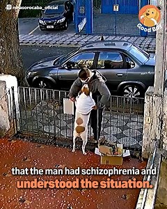 That was... strange. 🤔 | Tips From the Good Boy