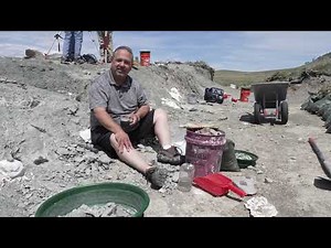 Digging up bones on the Montana Dinosaur Trail