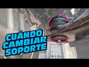 When to change a support? Steps to change | Supports Replacement