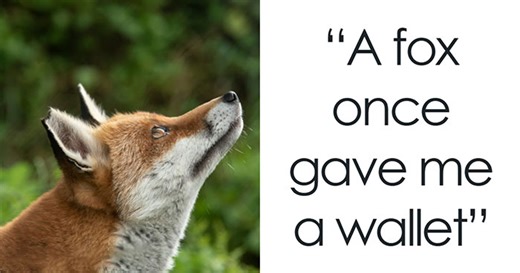 “I Still Think About It To This Day”: 52 Times People Witnessed Nearly Unbelievable Things