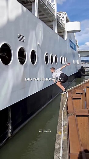 Never underestimate the value of your knowledge and experience. ✨ What feels “easy” for you today… took YEARS to become easy. You paid in time ⏳ in energy 🔋 in effort 💪 You learned. You failed. You grew. 🌱 Just because something is second nature to you now, doesn’t mean it isn’t valuable. We often forget how far we’ve come — because growth becomes our new normal. Your knowledge is currency. 💎 Your experience has weight. 📚 Your perspective is worth something. 🧠 Don’t discount what you worke