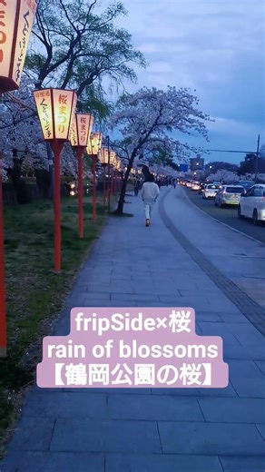【fripSide×桜】rain of blossoms × 山形県鶴岡市 鶴岡公園の桜並木① #fripSide #桜ソング #桜 #桜並木 #山形県鶴岡市