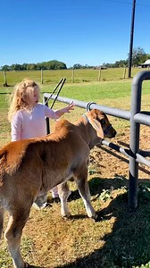 We think a ranch is a great place to grow up 🤍 | BRC Ranch