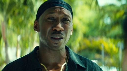 Moonlight Trailer DF