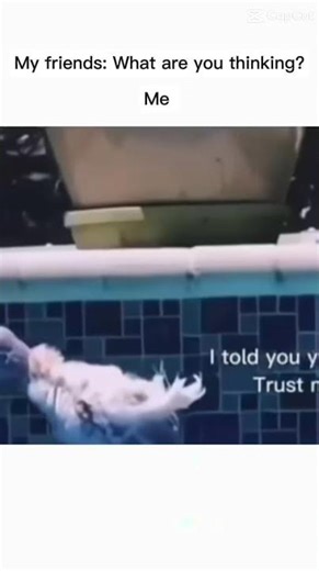 Flotation device 😂😂😂